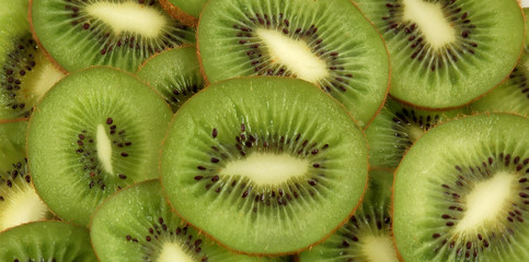  green background slices kiwi