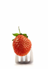 eat me!