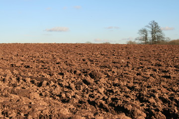 ploughed field