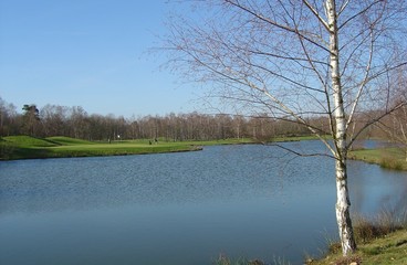 green sur l'autre berge