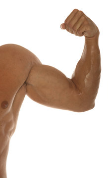 Muscular Body Builder Arm