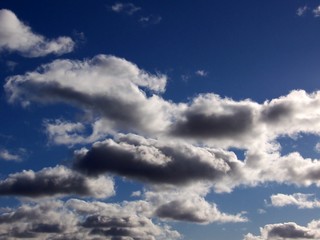 daytime cumulus