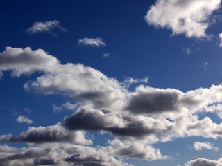 Obraz premium daytime cumulus