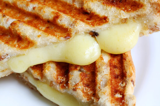 closeup of grilled cheese sandwich