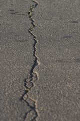 asphalt with crack