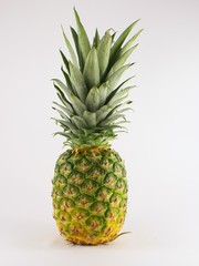Fototapeta premium pine apple