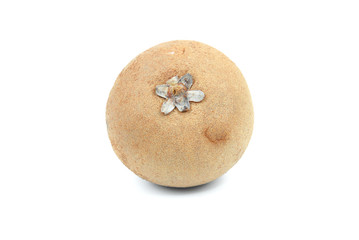 sapote