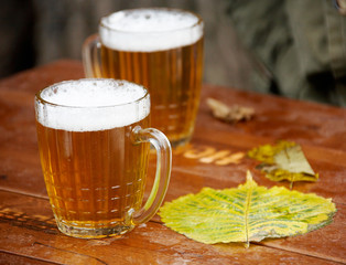 beer and leaf