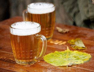 beer and leaf