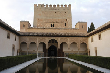 Fototapeta premium arrayanes-129