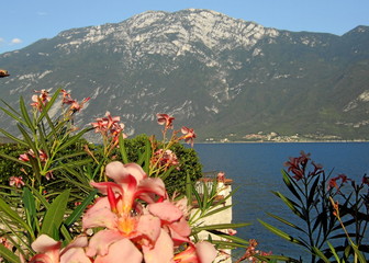 italien - italy