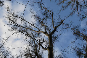 invierno-28