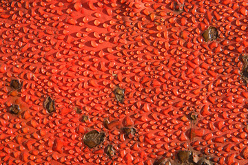 water drops on a red painted surface.