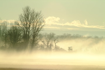 sous la brume