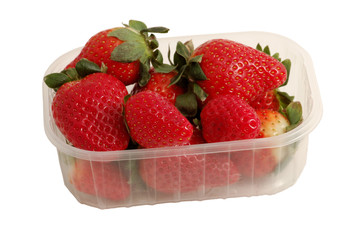 frische erdbeeren in der box