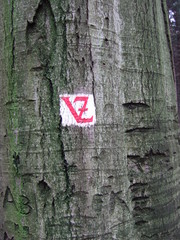 vogelzipfel
