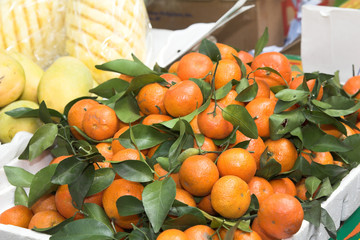 juicy mandarines for sale
