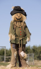 Obraz premium pumpkin scarecrow