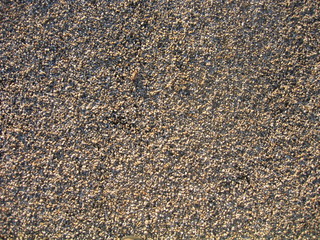 grains