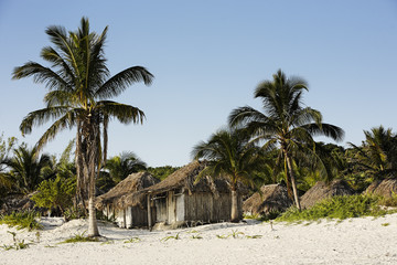 cabana on the beach