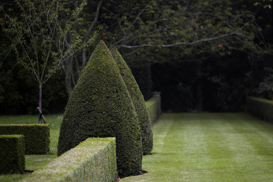 dark topiary garden
