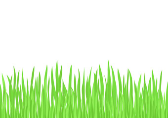 Obraz premium green grass