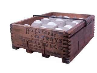 100 year old egg carton