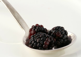 blackberries
