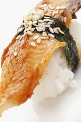 sushi eel