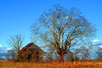 cabin in fall