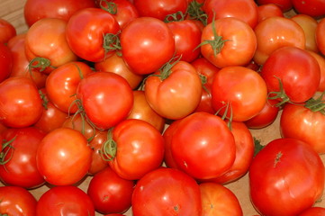 tomaten