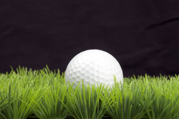 golfball on fairway