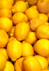 a group of lemons