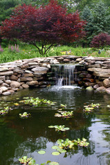 garden pond