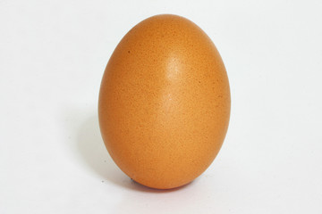 uovo