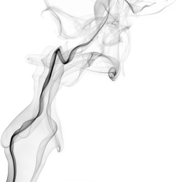 rauch