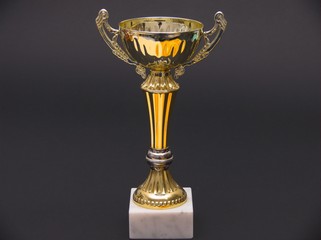 gold cup - prize