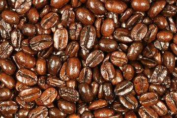 coffee beans background