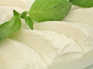 mozzarella käse nah aufnahme