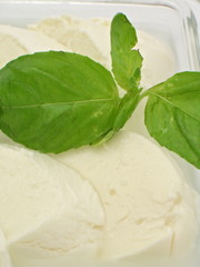 mozzarella käse nah aufnahme