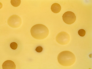 schweitzer käse nah aufnahme