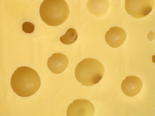 schweitzer käse nah aufnahme