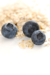 blueberry oats