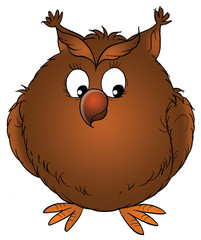 brown owl