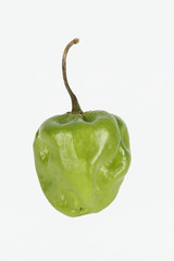 green scotch bonnet pepper