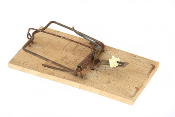rat trap