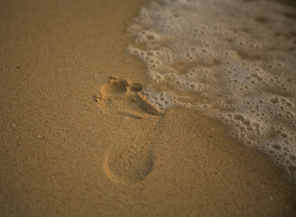 footprint