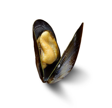 moule