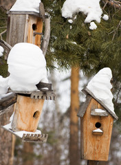 birdhouses