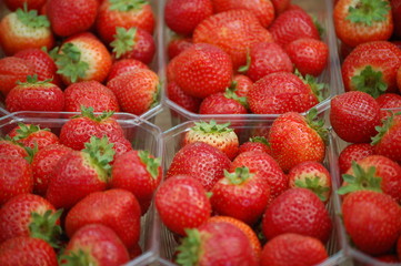 Fototapeta na wymiar erdbeeren in schalen